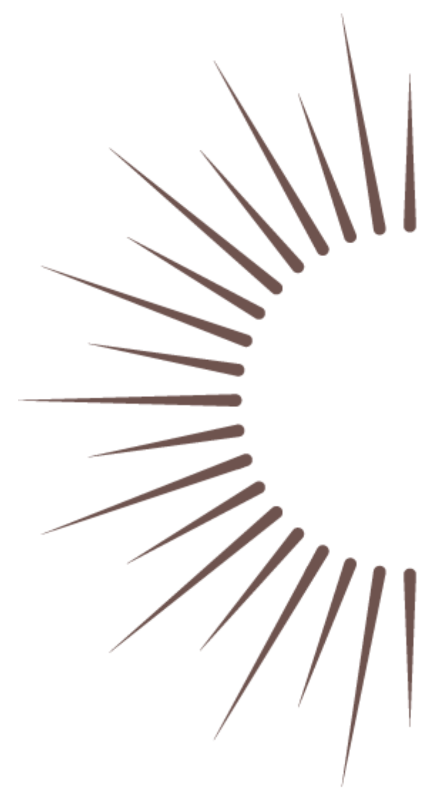 Soleil décoration